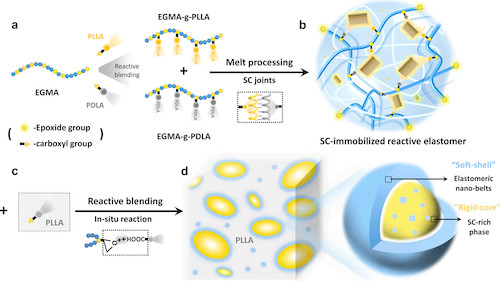 images_large_ma4c01319_0014